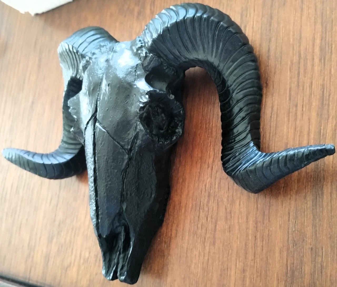 Caveira Crânio Carneiro Decorativo – photo 2